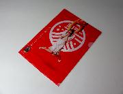 和ラー　クリアファイル