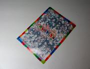 けものフレンズ2 A4サイズクリアファイル全4種