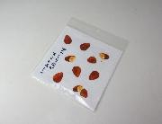 つぶつぶいちご・アーモンドクラッシュポッキーオリジナルミニタオル