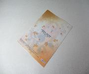 ソードアート・オンライン　アリシゼーションオリジナルクリアファイル全5種