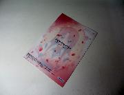 ソードアート・オンライン　アリシゼーションオリジナルクリアファイル全5種