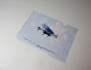 セブン‐イレブン限定 グランブルーファンタジー オリジナルクリアファイル全5種