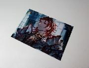 セブン‐イレブン限定 グランブルーファンタジー オリジナルクリアファイル全5種