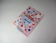 バンドリ！ガールズバンドパーティ！　オリジナルクリアファイル全5種