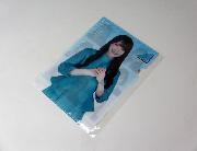 日向坂46オリジナルA5クリアライル全8種