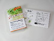 ブロッコリースプラウト栽培キット