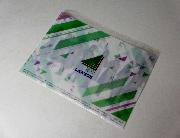 欅坂46キャンペーンオリジナルA5クリアファイル全9種