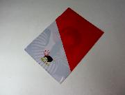 羽生結弦クリアファイル