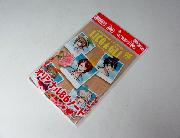 Lico & GliオリジナルB6ノート