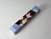 Fate/Grand Order -絶対魔獣戦線バビロニア-オリジナルミニポスター