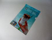 燦鳥ノム　ボスオリジナルA4クリアファイル全3種