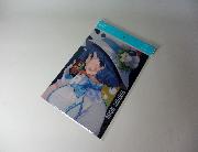 燦鳥ノム　ボスオリジナルA4クリアファイル全3種