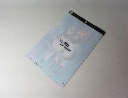 Re:ゼロから始める異世界生活　オリジナルクリアファイル全2種