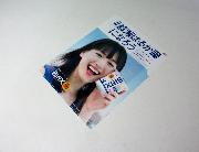 ＃綾瀬はるか腸になろう　クリアファイル