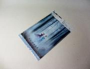 アナと雪の女王2　キリンオリジナル映画パンフレット風ダブルポケットクリアファイル全2種