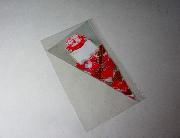 ともだちブーケラッピング袋3枚