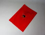 Ghana羽生選手オリジナルクリアファイル全3種