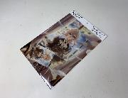 ヴァイオレット・エヴァーガーデン　オリジナルA4クリアファイル＋オリジナルA7クリアファイル