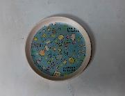 すみっコぐらし オリジナルバンブーファイバープレート 全5種