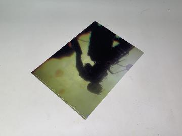 GEORGIA 進撃の巨人 オリジナルクリアファイル 全6種