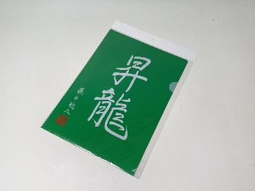 棋士 藤井颯太 オリジナルクリアファイル 全2種