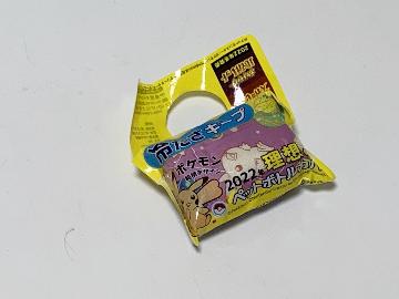 ポケモン 和柄デザイン 2022年理想のペットボトルカバー 全6種