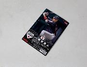 ぜんぶキラカード 侍JAPANカード 全37種