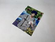 劇場版ヴァイオレット・エヴァーガーデン オリジナルA4クリアファイル