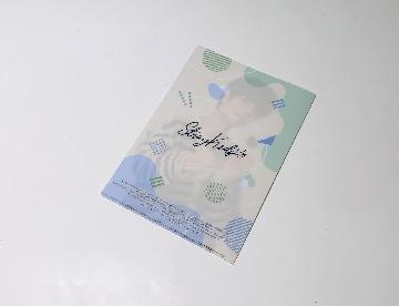 Stray Kids オリジナルA5サイズクリアファイル 全8種