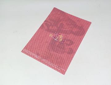 彼女、お借りします オリジナルクリアファイル 全8種