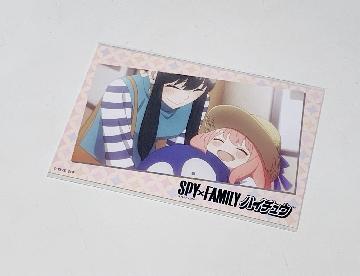 SPY×FAMILY ポストカード 全8種