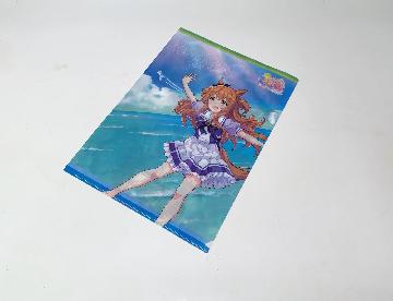 第1弾 ウマ娘 プリティーダービー オリジナルA4サイズクリアファイル