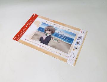 青春ブタ野郎はおでかけシスターの夢を見ない A4クリアファイル　 全3種