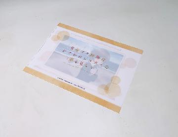 青春ブタ野郎はおでかけシスターの夢を見ない A4クリアファイル　 全3種