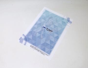 ブルーアーカイブ オリジナルクリアファイル 全8種