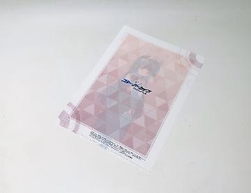 ブルーアーカイブ オリジナルクリアファイル 全8種