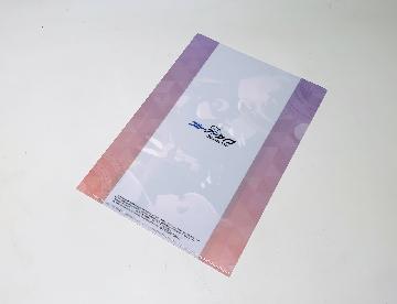 ブルーアーカイブ オリジナルクリアファイル 全8種