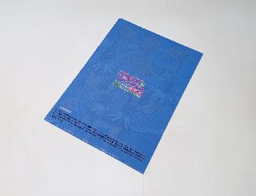 ガールズ＆パンツァー オリジナルクリアファイル　全5種