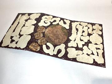 発掘恐竜 ペーパーザウルス