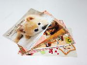 俊介くんのオリジナルクリスマスポストカード