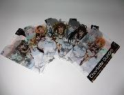  IS〈インフィニット・ストラトス〉オリジナル描き下ろしクリアファイル