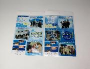 イオン限定「Free!-Eternal Summer-」ミニクリアファイル3枚セット