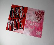 ワンピースクリアファイル